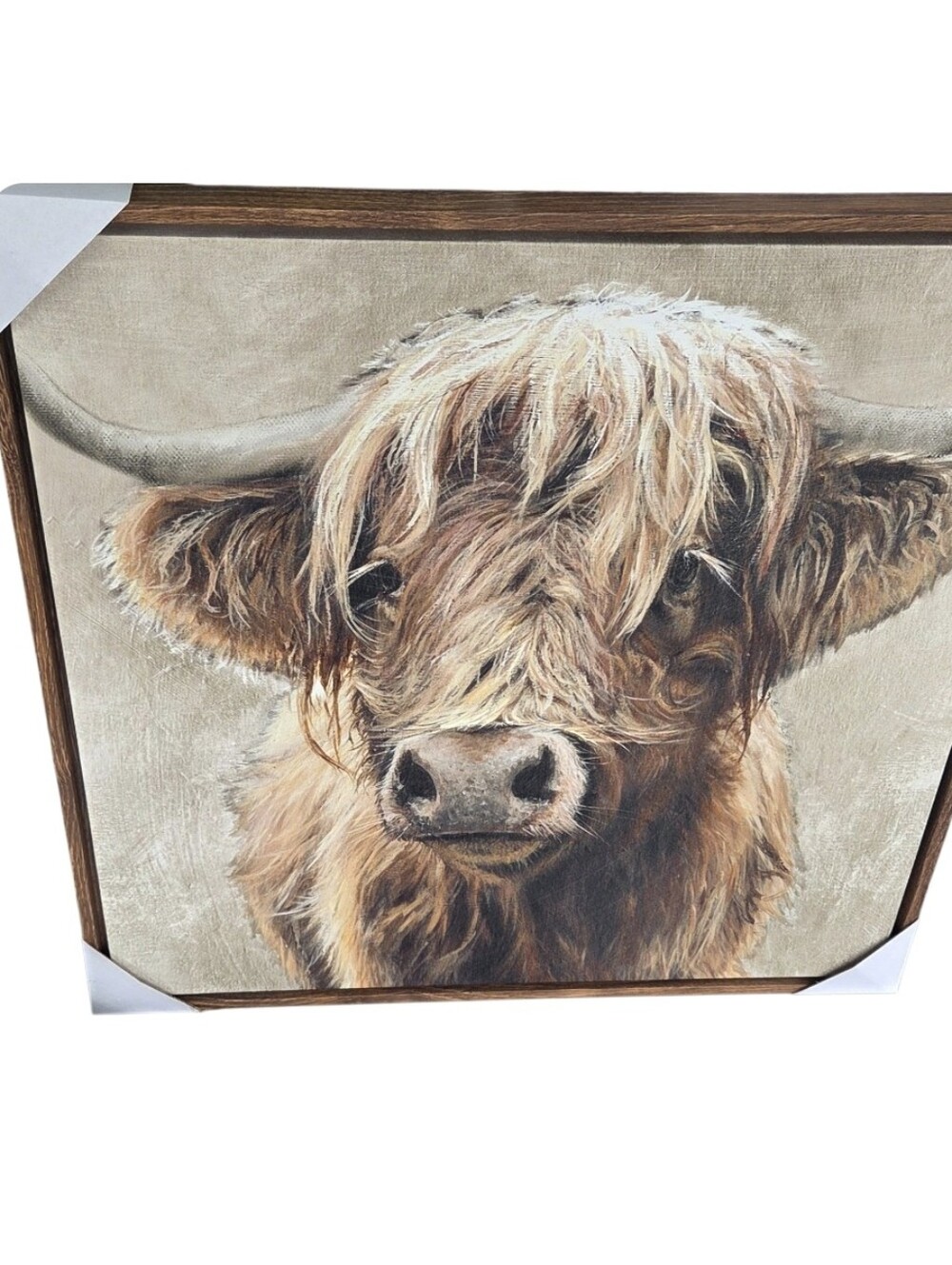 New Highland Cow Canvas Art Print in Brown and Cream